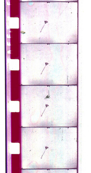 a journey to empathy (dead film n°1), Christian Kurz, 2013